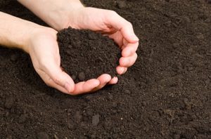 Topsoil Delivery Near Me